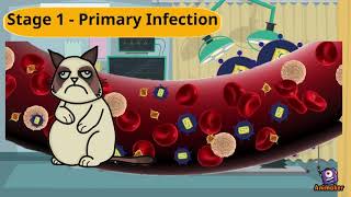 Feline Immunodeficiency Virus (FIV): What You Need to Know As Vets/Vet Students