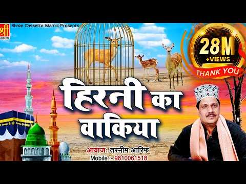 download lagu mp3 mp4 Tasleem Arif Qawwali, download lagu Tasleem Arif Qawwali gratis, unduh video klip Tasleem Arif Qawwali