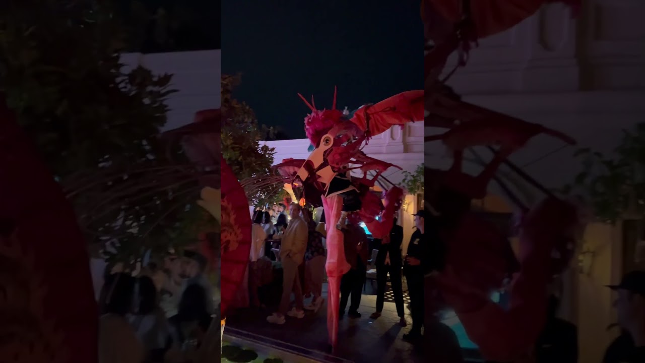 Promotional video thumbnail 4 for Dragon Knights Stilt Show