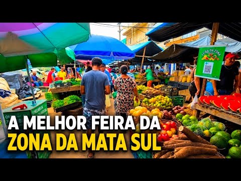 ESCADA PERNAMBUCO 29/ AGOSTO/ 2026
