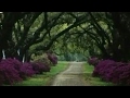 Caroline Goodbye (w/LYRICS)by Colin Blunstone (1972)