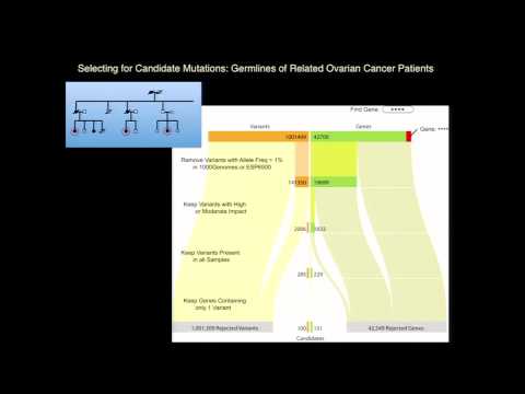 Data Mining TCGA Breast and Ovarian Exomes for Novel Susceptibility Markers - John Martignetti