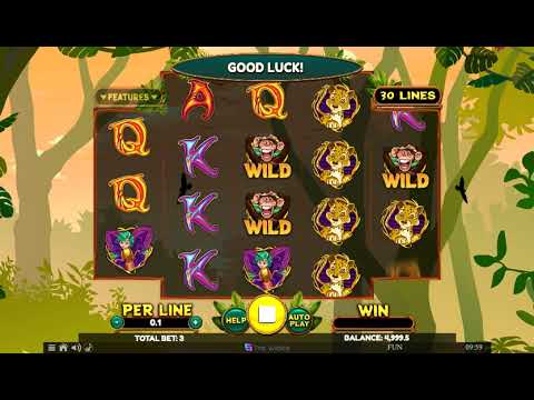 Wacky Monkey – Video Gameplay