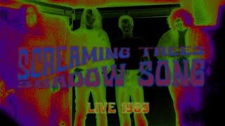 Screaming Trees-Shadow Song (Live 1989 Posthof, Linz, Austria)