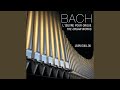 J.S. Bach: Toccata And Fugue In D Minor, BWV 565: 1. Toccata
