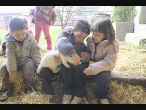 EXCURSIÓ A LA GRANJA