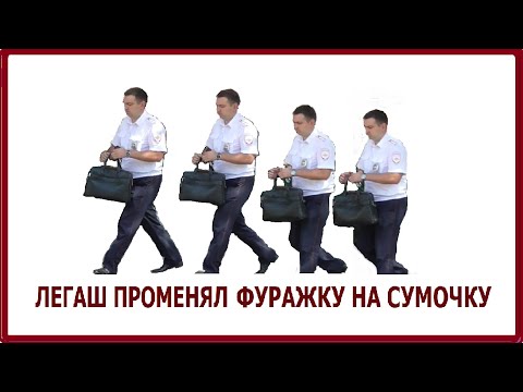 дамская сумочка Хамелиона Макеева.