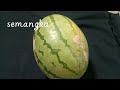 Es Semangka India Viral || watermelon ice