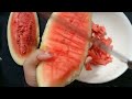 Es Semangka India Viral || watermelon ice