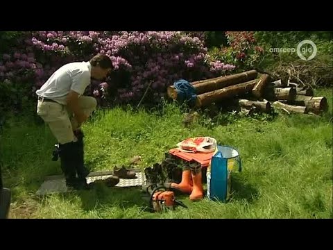 GLD Nieuws 16 juni 2013 - Nieuws