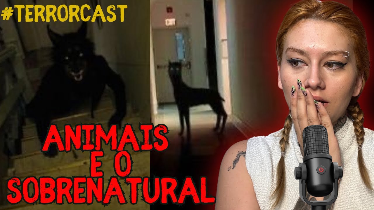 Relatos sobrenaturais entre animais e seres malignos