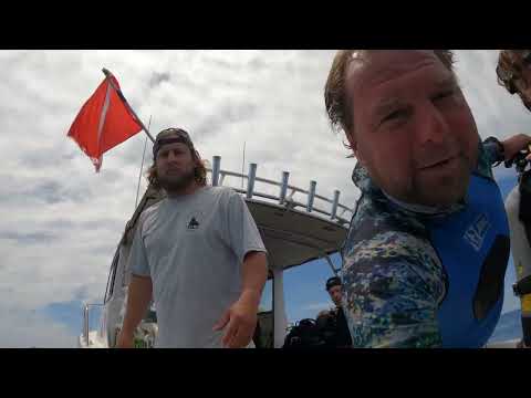 Scuba Diving & Spearfishing off NC