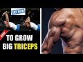 GET BIG TRICEPS (ट्राइसेप का साइज़ बढ़ाएं)- DB Triceps Overhead Extension [Tate Press]