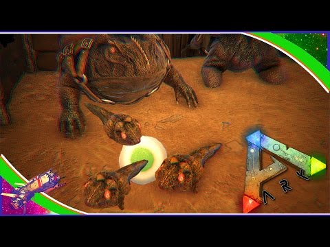 BEELZEBUFO BREEDING - BABY FROG TRIPLETS - AMPHIBIAN BREEDING  - Ark Survival Evolved S3 E25