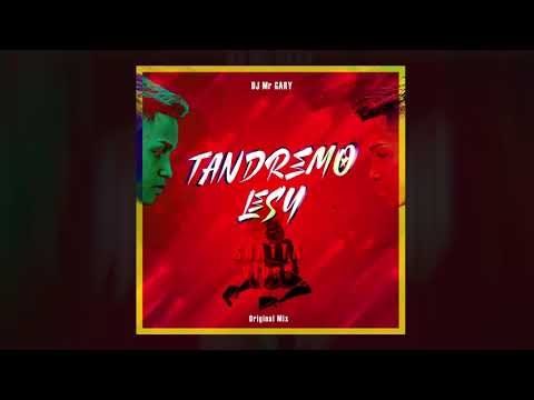 DJ Mr GARY - TanDremo LeSy [Original Mix] Dancehall SHATTA