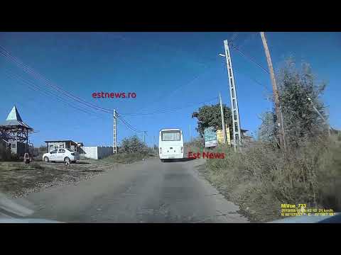 Câinii din Perieni, capturați pe banii bârlădenilor (II)