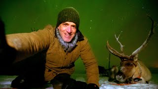 Reindeer Selfies With The Northern Lights! | Reindeer Family and Me | BBC Earth