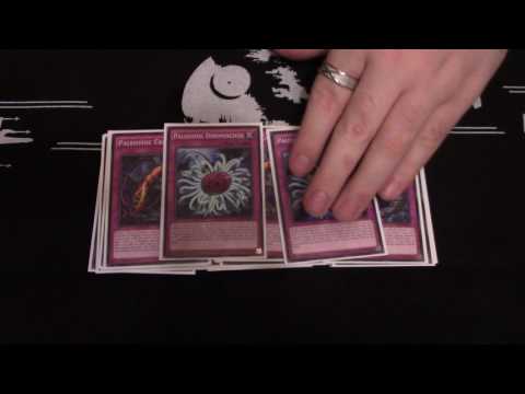 Paleo Frog Deck Profile - January 2017