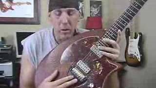 Video thumbnail for Ovation Breadwinner exotic guitar review by rockongoodpeople