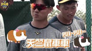 [分享] 中信兄弟幼稚園看天竺鼠車車