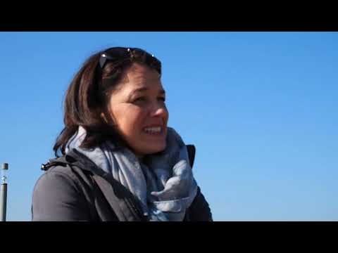 Wie geht's Ingelheim 2