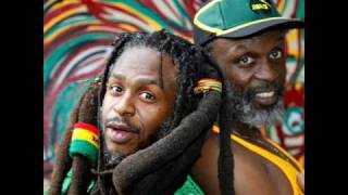 alborosie &amp; steel pulse-steppin out