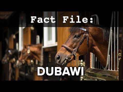 Fact File: Dubawi