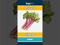 rhubarb - ruibarbo video thumbnail