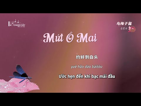 [Vietsub] Mứt Ô Mai - Lý Vinh Hạo - Hot Douyin