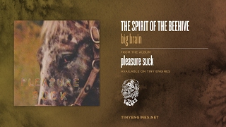 The Spirit of the Beehive - big brain