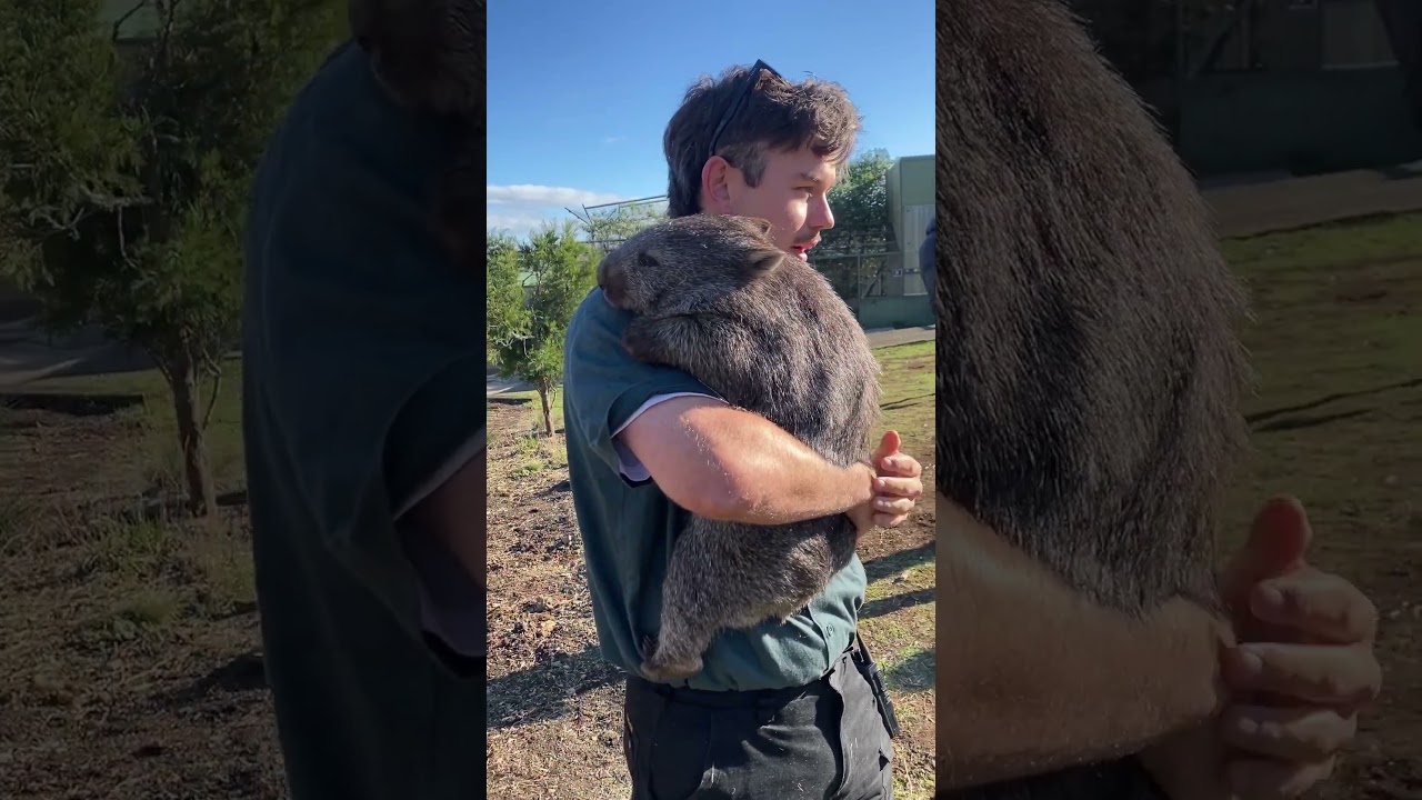 YouTube Short thumbnail