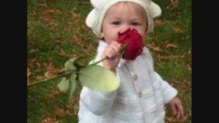 Lala's Song (You're my honeybunch", Cuppycake Song)