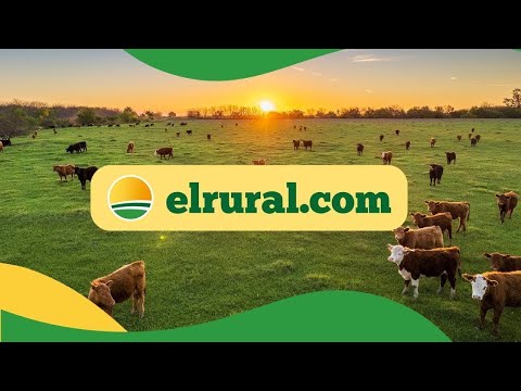 Sociedad Rural de Jesús María | Consignaciones Córdoba