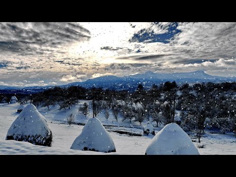 Colinde 2021 Colaj colinde 2022 cu Sorinel de la Plopeni