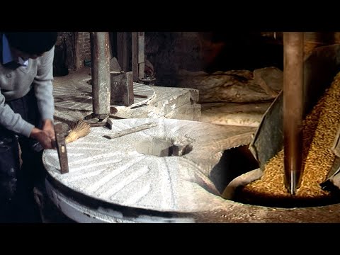 El último molinero de Sástago. Molienda tradicional del grano | Oficios Perdidos | Documental