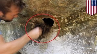 Man puts hand in spider nest: Dad grabs a fist full of daddy long legs  - TomoNews