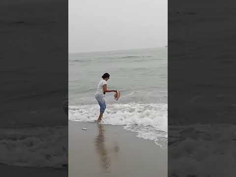 #blissful_livings #beach #beats #shortfeed #success #sunrise #sea #seascape #short #loveyourlife