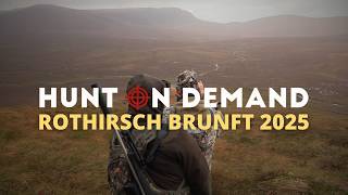 Rothirsch Brunft 2025 🏴󠁧󠁢󠁳󠁣󠁴󠁿 Schottland Highlands Teil 2 von @jagdkrone