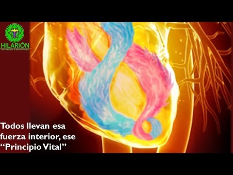 TEACHING OF THE HEALING CHRIST - Metaphysical Healing