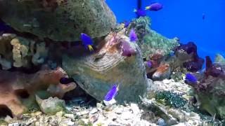 Sea World Prague Holešovice