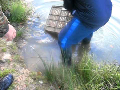 Populare Lac Nistru !!!!