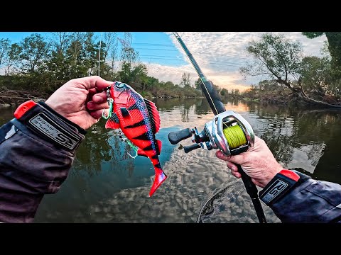 Chytí OBŘÍ nástraha velkou ŠTIKU? Lov bigbaitu na baitcast na velké řece!