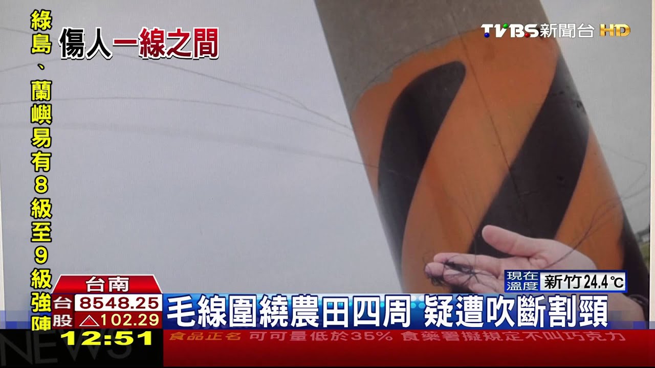 趕鳥用毛線空中飄　騎士經過繞頸擦傷