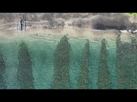 Floating on my mind...