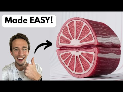 Muscle Cell Structure - Made Easy! (Skeletal Muscle Histology)