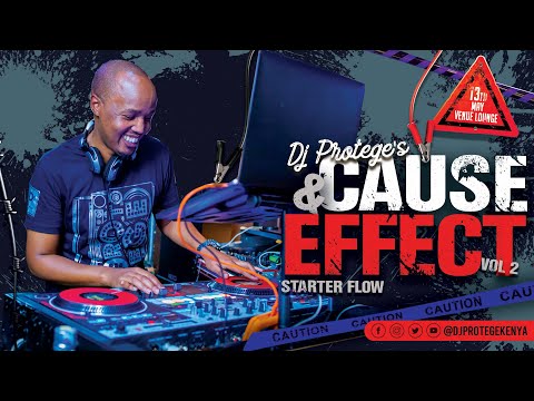 DJ Protege The protege Effect vol 25