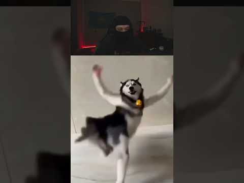 La mia canzone preferita #viral