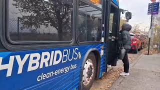 Bedford Park Lehman College bound 2021 Novabus lfs #9816 Bx26 Bus @ Baychester Av & Aldrich St