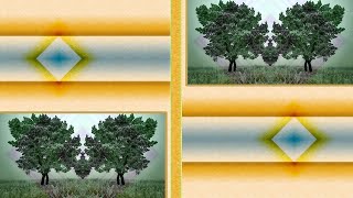 Albert King &amp; Stevie Ray Vaughan - Don't Lie To Me