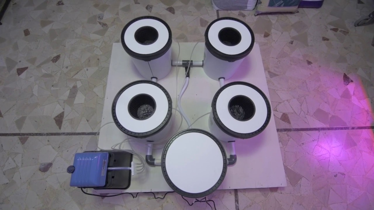 Recirculating Deep Water Culture by Growrilla Hydroponics